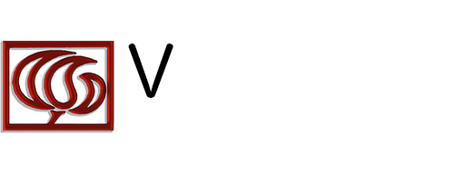 Vanin snc - logo